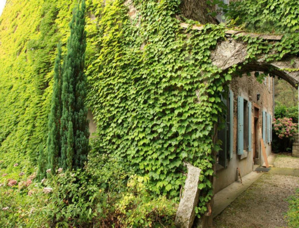Bed and Breakfast L'Affable Les Cammazes Екстер'єр фото