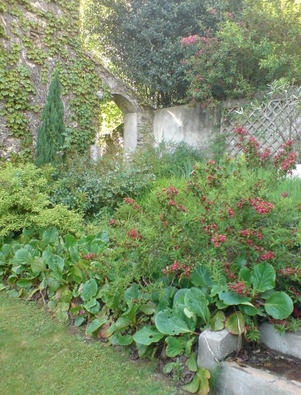 Bed and Breakfast L'Affable Les Cammazes Екстер'єр фото